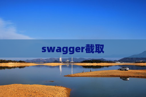 swagger截取